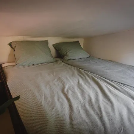 Σπίτι διακοπών Tiny - Rustig - - In De - Sauna