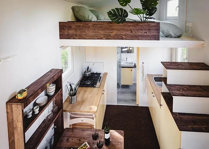 Semesterbostad Tiny - Rustig - - In De - Sauna